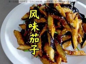 第一次用茄子的感受：它的口感软糯，味道鲜美，是一种健康又美味的食材