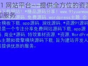 91 网站平台——提供全方位的资源和服务