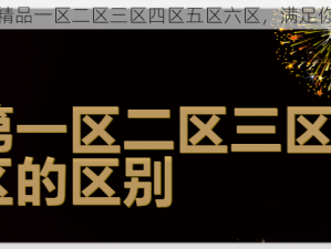 各种风格的精品一区二区三区四区五区六区，满足你的不同需求