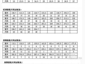 一码二码与欧洲尺码的区别及投影功能的特点