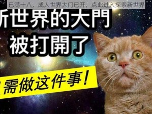 已满十八，成人世界大门已开，点此进入探索新世界