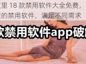 免费夜里 18 款禁用软件大全免费，涵盖多种类型的禁用软件，满足不同需求