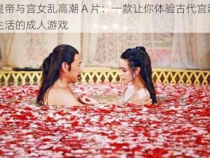 皇帝与宫女乱高潮 A 片：一款让你体验古代宫廷生活的成人游戏