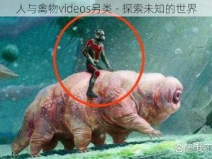 人与禽物videos另类 - 探索未知的世界