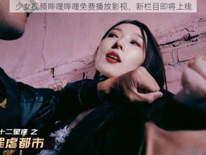 少女视频哔哩哔哩免费播放影视，新栏目即将上线