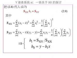 Y 液体系统 xi：一场关于 XX 的探讨