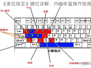 《泰拉瑞亚》键位详解：内容丰富操作指南