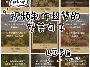 添足视频——让你的视频更具创意和个性