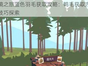 边境之旅蓝色羽毛获取攻略：鸭毛获取方法与技巧探索