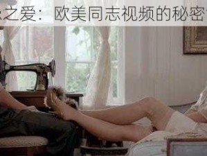 禁忌之爱：欧美同志视频的秘密世界