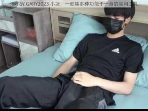 浪小辉 GARY2023 小蓝：一款集多种功能于一身的实用工具