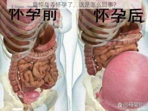 震惊岳弄怀孕了，这是怎么回事？