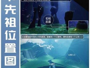 光遇起舞动作先祖揭秘与获取攻略：探索先祖传承的舞步之美