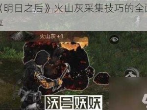 关于《明日之后》火山灰采集技巧的全面解析与分享