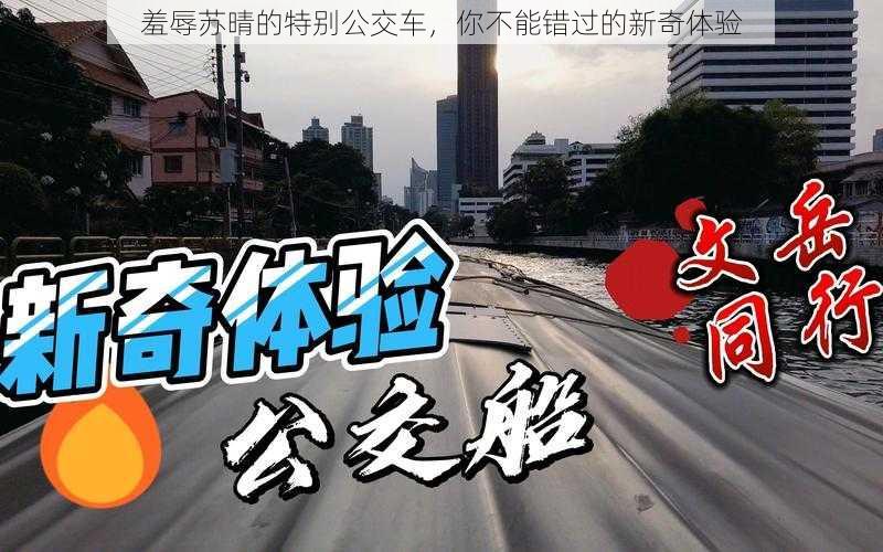 羞辱苏晴的特别公交车，你不能错过的新奇体验