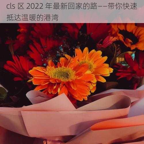 cls 区 2022 年最新回家的路——带你快速抵达温暖的港湾