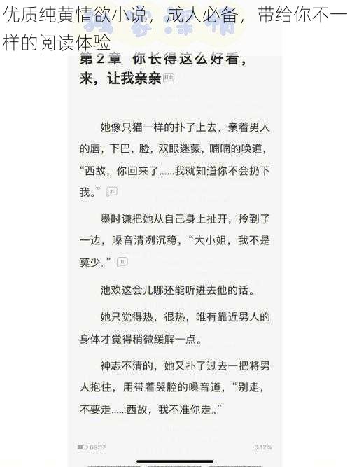 优质纯黄情欲小说，成人必备，带给你不一样的阅读体验