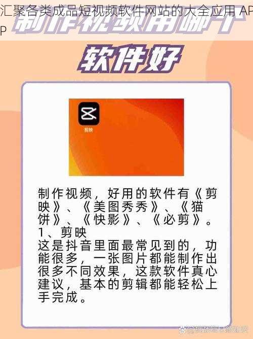 汇聚各类成品短视频软件网站的大全应用 APP