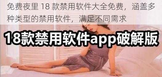 免费夜里 18 款禁用软件大全免费，涵盖多种类型的禁用软件，满足不同需求