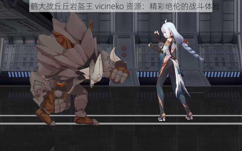 申鹤大战丘丘岩盔王 vicineko 资源：精彩绝伦的战斗体验