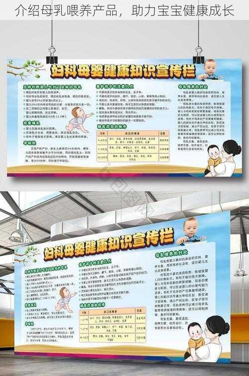 介绍母乳喂养产品，助力宝宝健康成长