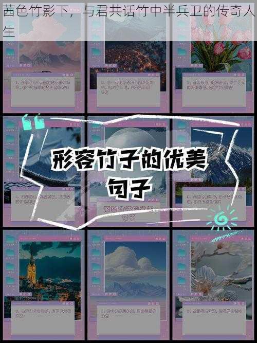 茜色竹影下，与君共话竹中半兵卫的传奇人生