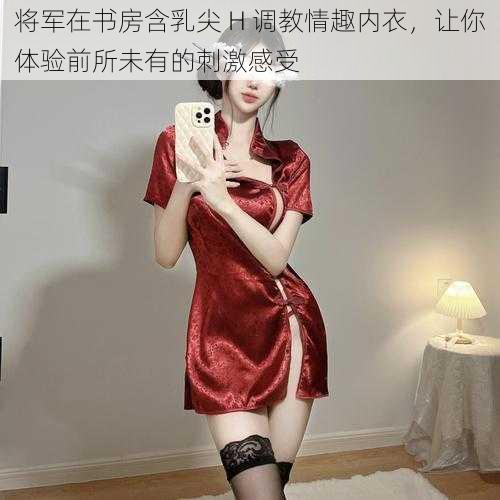 将军在书房含乳尖 H 调教情趣内衣，让你体验前所未有的刺激感受