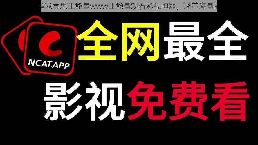 网站你懂我意思正能量www正能量观看影视神器，涵盖海量影视资源