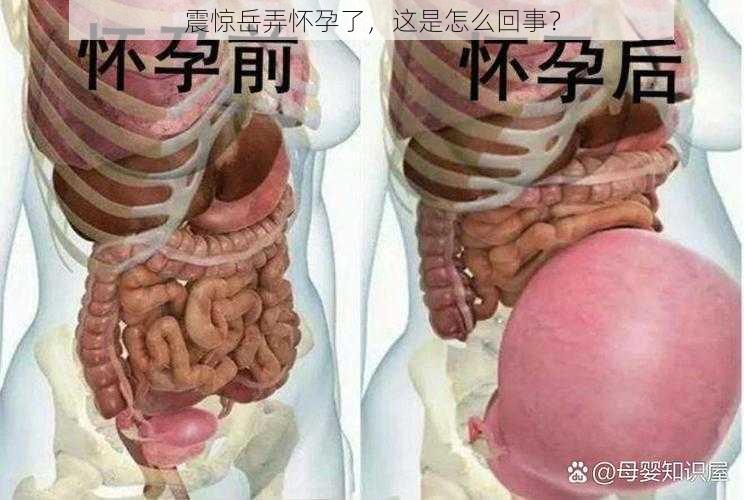 震惊岳弄怀孕了，这是怎么回事？