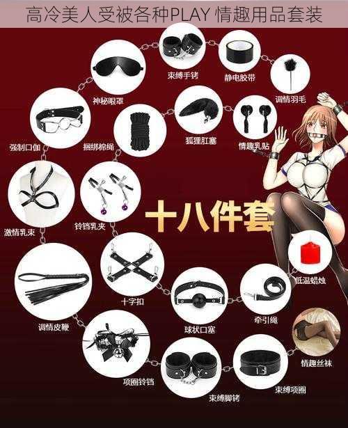 高冷美人受被各种PLAY 情趣用品套装