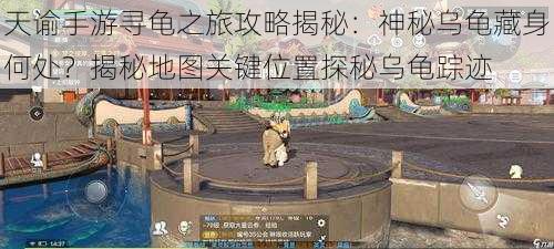 天谕手游寻龟之旅攻略揭秘：神秘乌龟藏身何处？揭秘地图关键位置探秘乌龟踪迹