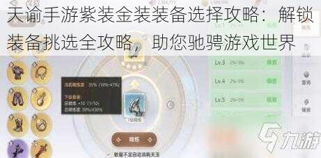 天谕手游紫装金装装备选择攻略：解锁装备挑选全攻略，助您驰骋游戏世界