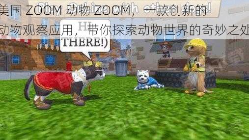 美国 ZOOM 动物 ZOOM，一款创新的动物观察应用，带你探索动物世界的奇妙之处