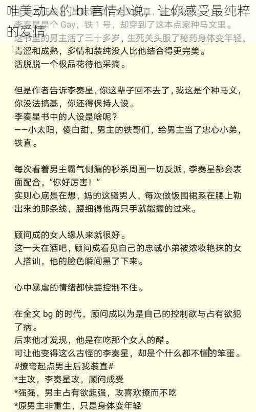 唯美动人的 bl 言情小说，让你感受最纯粹的爱情