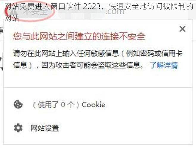 网站免费进入窗口软件 2023，快速安全地访问被限制的网站