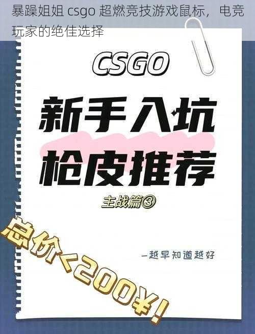 暴躁姐姐 csgo 超燃竞技游戏鼠标，电竞玩家的绝佳选择