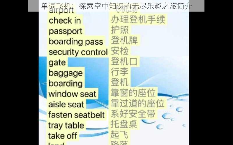 单词飞机：探索空中知识的无尽乐趣之旅简介