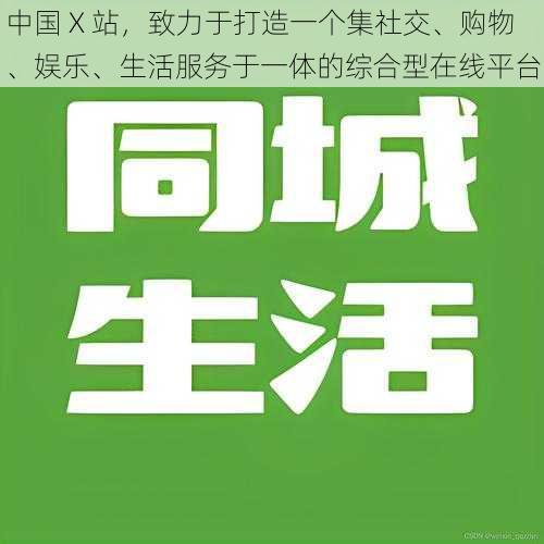 中国 X 站，致力于打造一个集社交、购物、娱乐、生活服务于一体的综合型在线平台