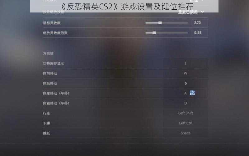 《反恐精英CS2》游戏设置及键位推荐