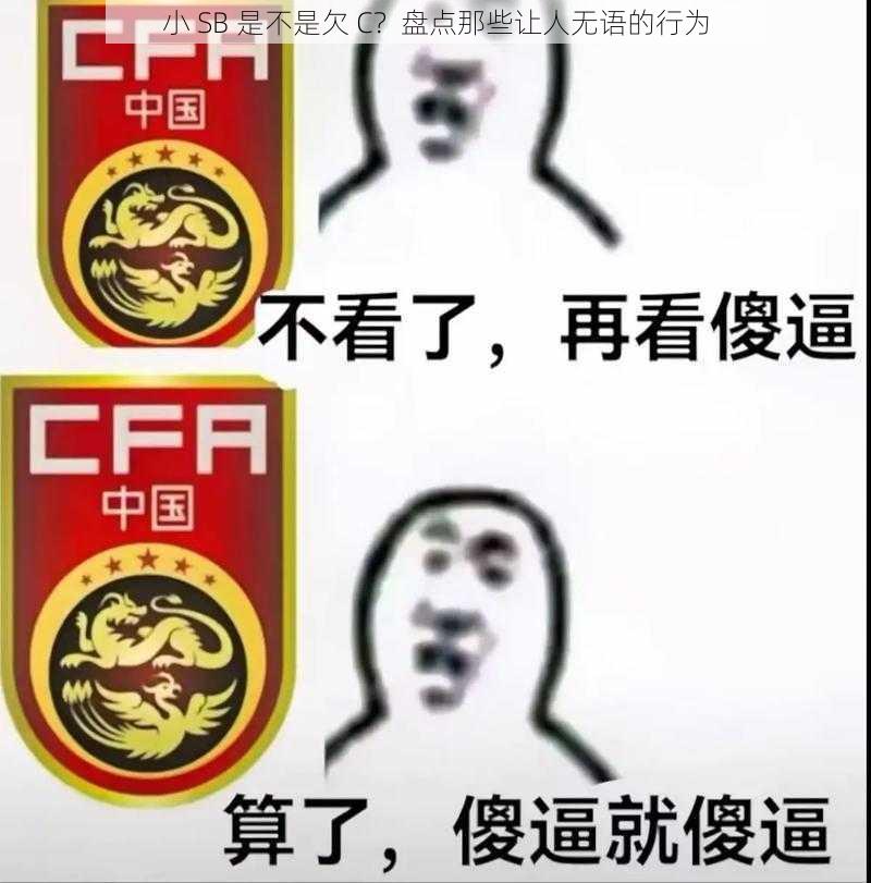 小 SB 是不是欠 C？盘点那些让人无语的行为