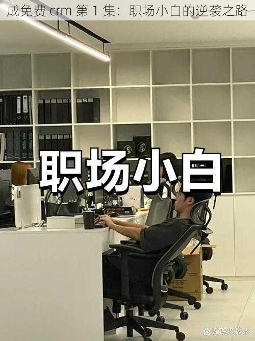 成免费 crm 第 1 集：职场小白的逆袭之路